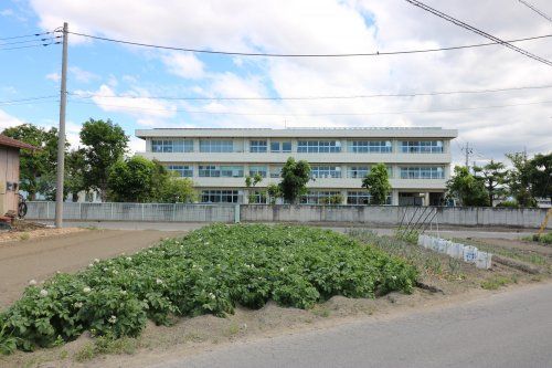 足利市立矢場川小学校の画像