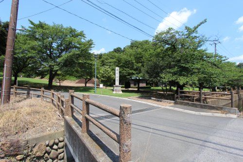 足利公園の画像