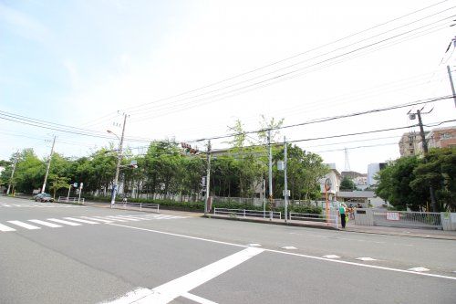 横須賀市立夏島小学校の画像