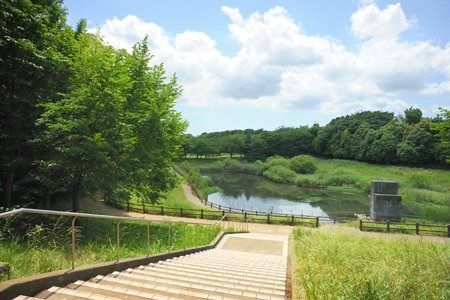 美しが丘近隣公園の画像