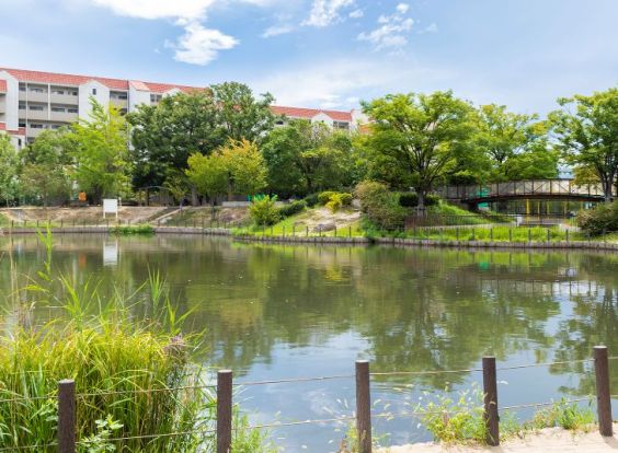 樋之池公園の画像