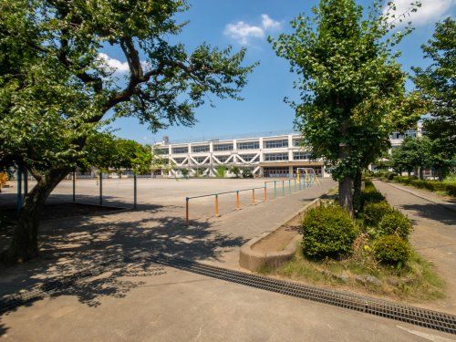 立川市立柏小学校の画像