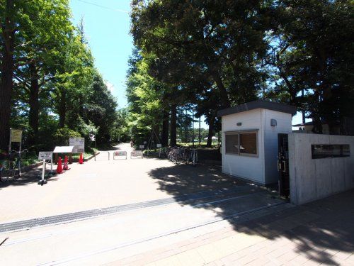 石神井松の風文化公園の画像