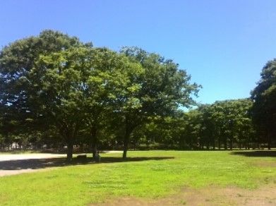 茅ヶ崎中央公園の画像