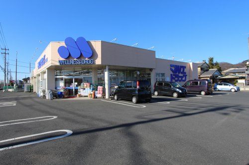 マルエドラッグ 山川店の画像