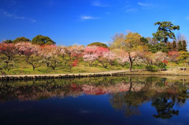 緑ケ丘公園の画像