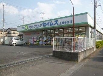 ドラッグセイムス 上尾中分店の画像