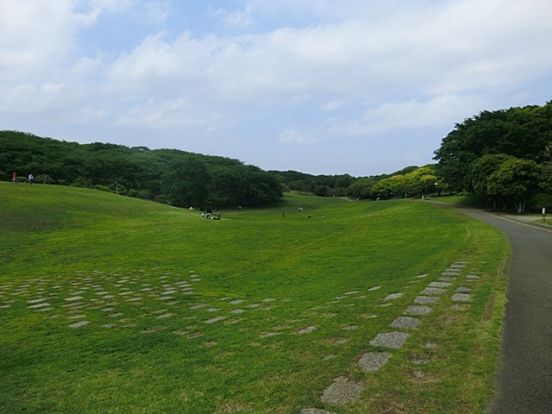 根岸森林公園の画像