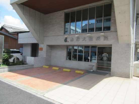 赤塚犬猫病院の画像