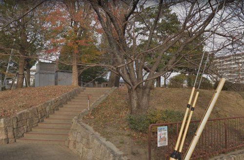 蓮池公園の画像