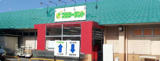 フラワーランド　平塚金目店の画像