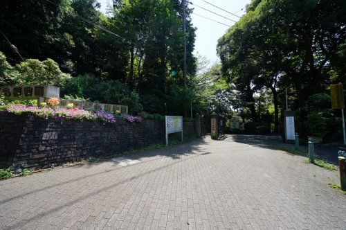 こども植物園の画像