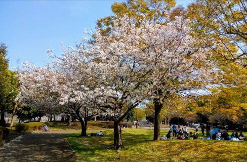 大庭城址公園の画像