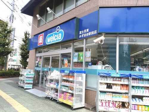 ウエルシア富士見東みずほ台駅前店の画像