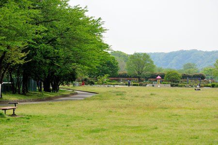 多摩川緑地福生南公園の画像