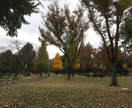 新宿中央公園の画像