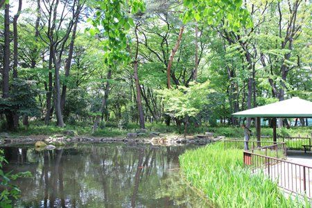 塚山公園の画像