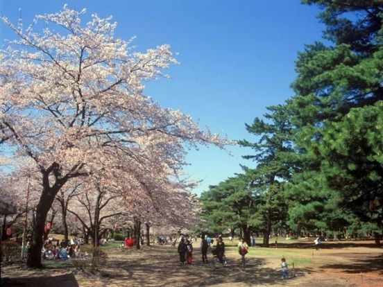 敷島公園ばら園の画像