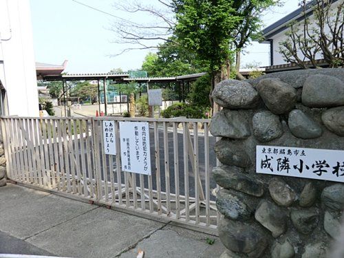 昭島市立成隣小学校の画像