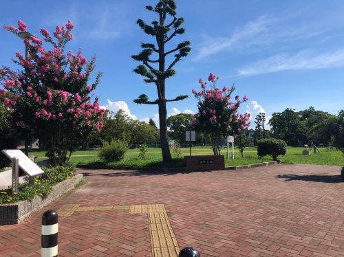 神野公園の画像