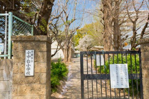 千葉市立小中台小学校の画像