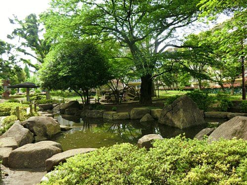 谷戸イチョウ公園の画像