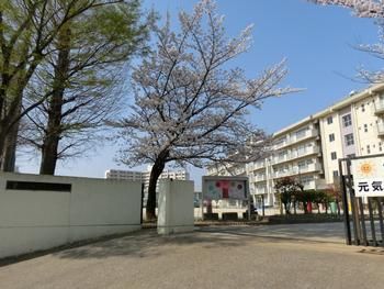 松戸市立横須賀小学校の画像