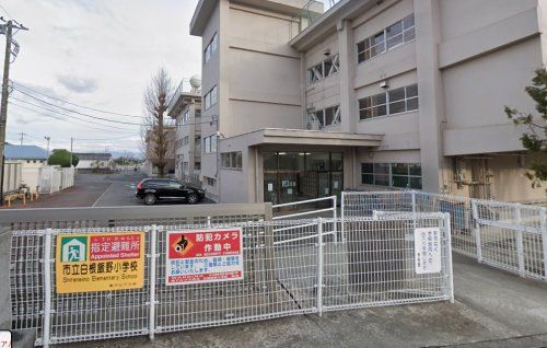 南アルプス市立白根飯野小学校の画像