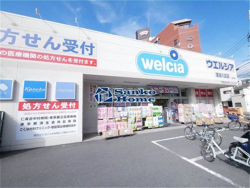 ウエルシア墨田八広店の画像