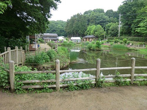 吹上しょうぶ公園 の画像