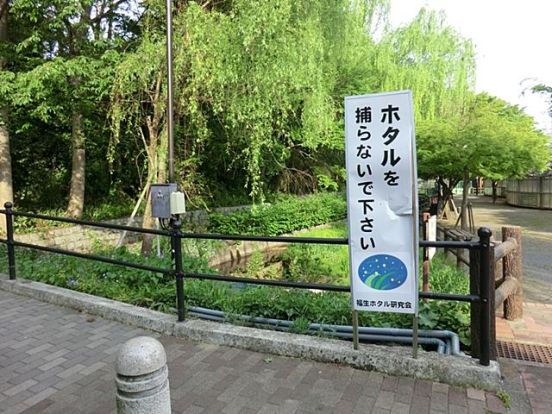 ほたる公園(福生市)の画像