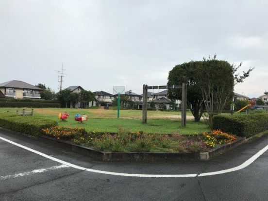 緑陽台公園の画像