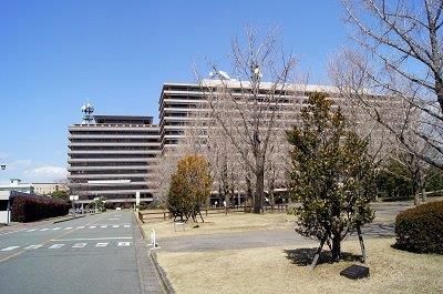 熊本県庁の画像