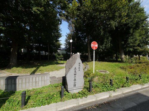 練馬区立土支田の森公園の画像