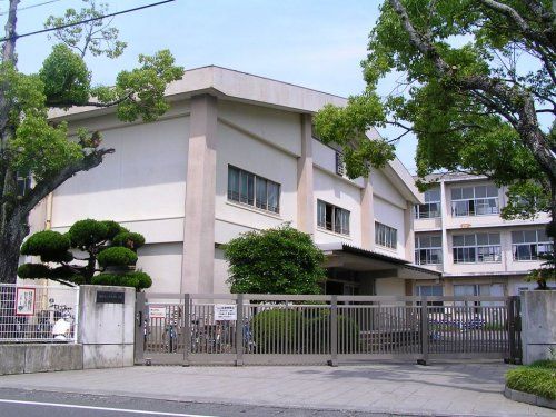 静岡市立千代田小学校の画像