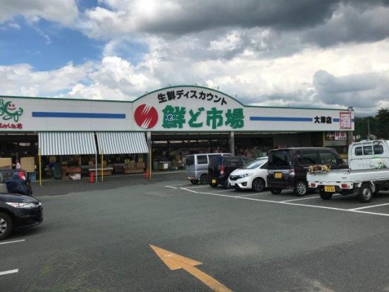 鮮ど市場 大津店の画像