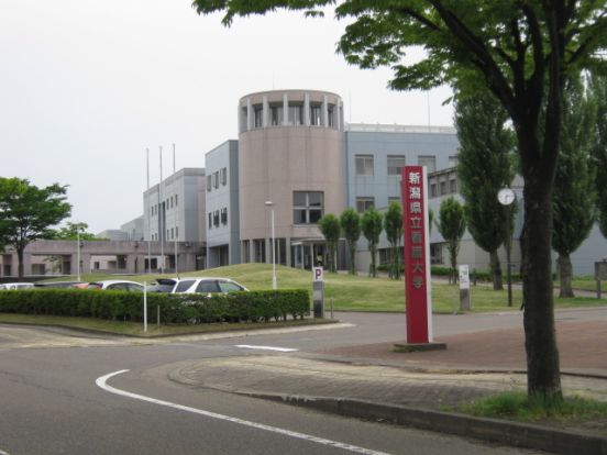 新潟県立看護大学の画像