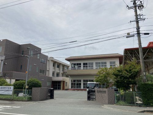 磐田東中学校・高等学校の画像