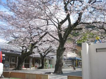 かえで幼稚園の画像