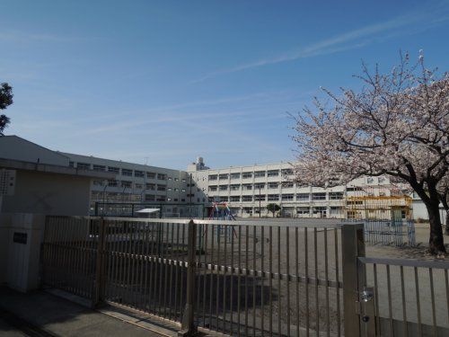 横浜市立桂台小学校の画像