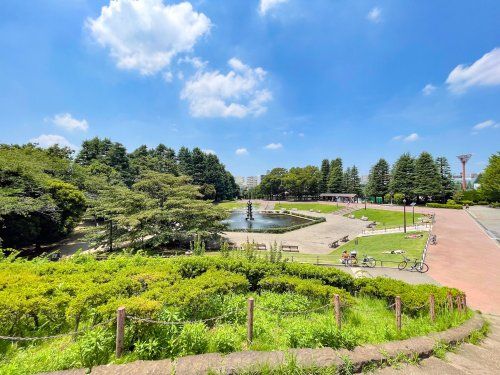 世田谷公園の画像