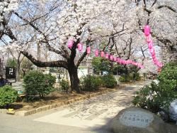 新井薬師公園の画像