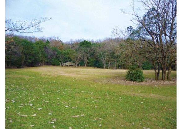 立田山 憩いの森の画像