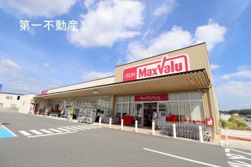 Maxvalu(マックスバリュ) 東条店の画像