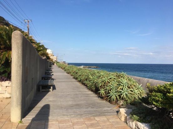 湯波(ゆうなみ)さんぽ道　海沿いのお散歩コースですの画像