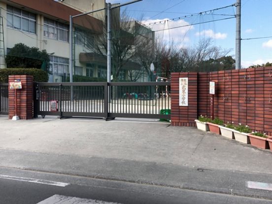 熊本市立 武蔵小学校の画像