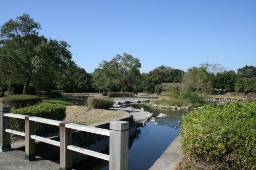 浮島周辺水辺公園の画像