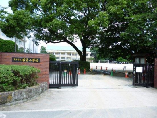 熊本市立 若葉小学校の画像