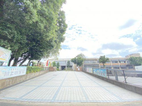熊本市立川上小学校の画像
