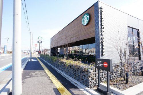 スターバックスコーヒー 新潟女池店の画像